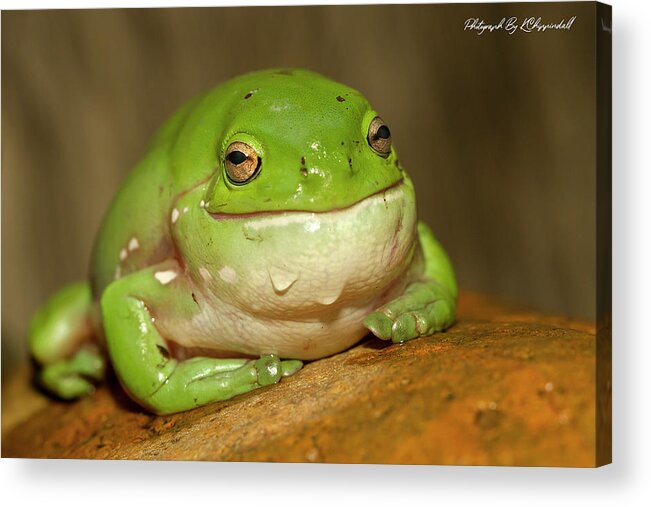 Happy Frog Acrylic Print featuring the digital art Happy frog 663 by Kevin Chippindall