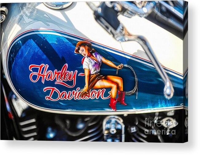 Harley Davidson Pin Up Acrylic Print featuring the photograph Harley Davidson cowgirl pin-up by Stefano Senise