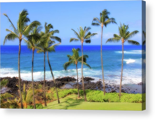 Trees Acrylic Print featuring the photograph Hawaiian Palm Trees by Robert Carter