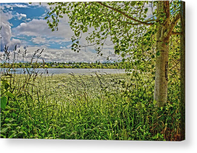 Hdr Acrylic Print featuring the photograph HDR Minnesota Lake by Matthew Bamberg
