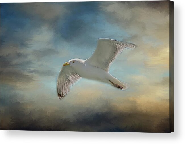 Seagull Acrylic Print featuring the photograph Heavenly Flight by Cathy Kovarik