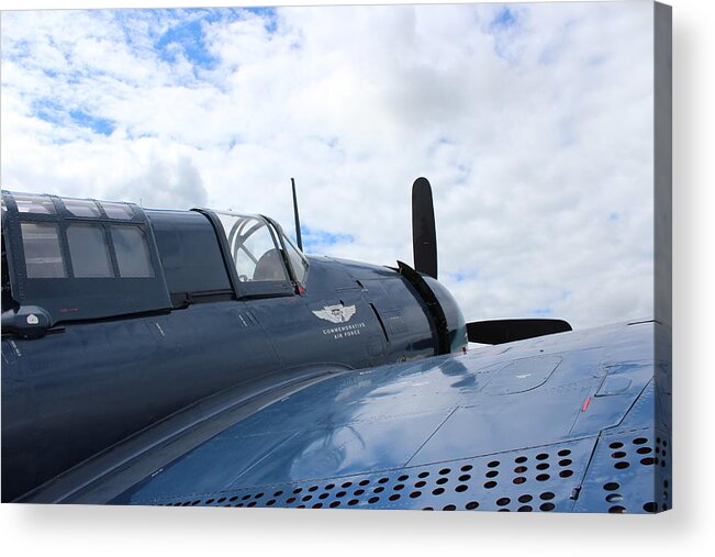 Helldiver Acrylic Print featuring the photograph Helldiver Looking Skyward by Callen Harty
