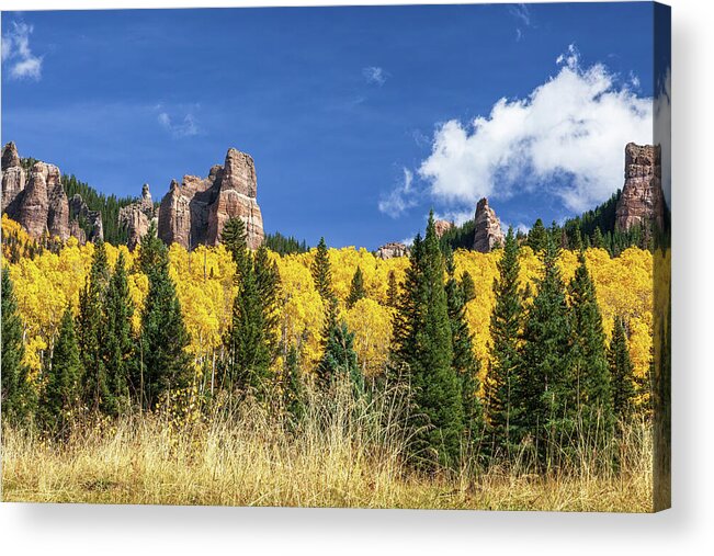 Art Acrylic Print featuring the photograph Hidden Treasure by Rick Furmanek