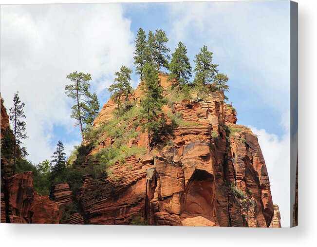 Landscape Acrylic Print featuring the photograph High Above the Canyon by Robert Carter