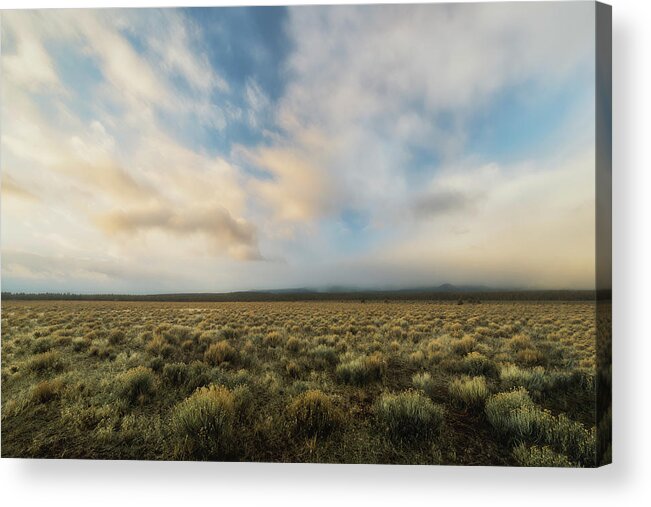 State Park Acrylic Print featuring the photograph High Desert Morning by Ryan Manuel