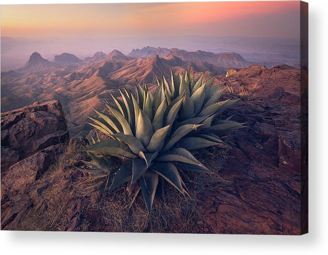 Chisos Mountains Acrylic Print featuring the photograph Highly Placed by Slow Fuse Photography