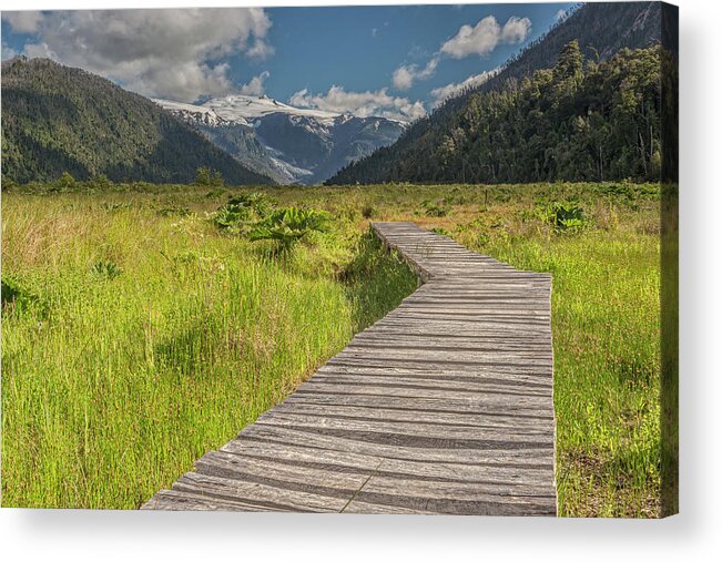Chile Acrylic Print featuring the photograph Hiking path to the Michinmahuida glacier by Henri Leduc