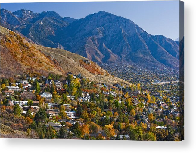 Scenics Acrylic Print featuring the photograph Hillside Suburban Homes by Mint Images