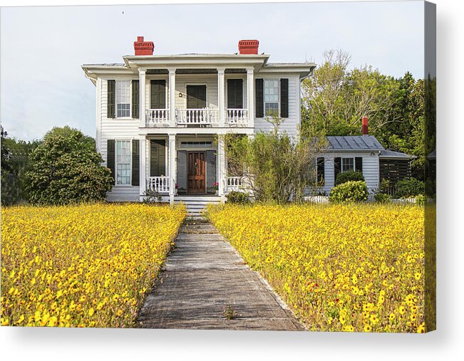 Beaufort Acrylic Print featuring the photograph HIstoric Home With Yard of Wildflowers - Beaufort North Carolina by Bob Decker