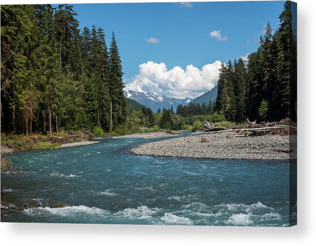 Forest Acrylic Print featuring the photograph Hoh River Rapids by Robert Potts