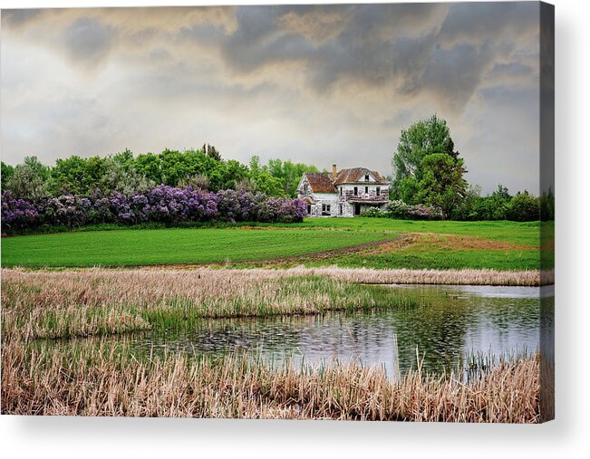 Solberg Acrylic Print featuring the photograph Home is Where the Lilacs Bloom - 1 of 2 - abandoned Solberg homestead in rural ND by Peter Herman