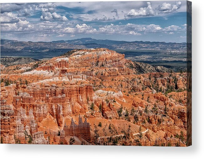Bryce Acrylic Print featuring the photograph Hoodoo Heaven I by Phil Marty
