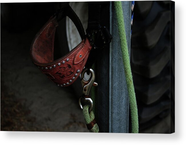 Horse Acrylic Print featuring the photograph Horse halter and lead rope by Cathy Harper