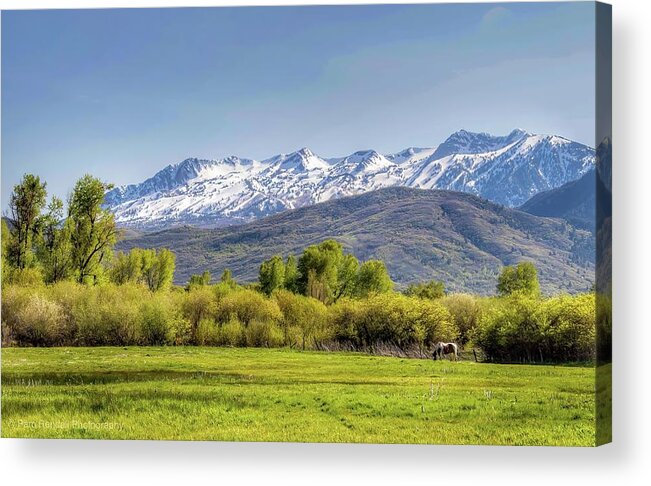 Utah Acrylic Print featuring the photograph Horse in the Valley by Pam Rendall
