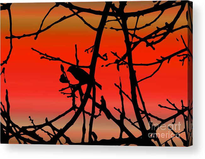 House Finch Acrylic Print featuring the photograph House Finch In Tree Silhouette on Tuscan Sunset by Colleen Cornelius