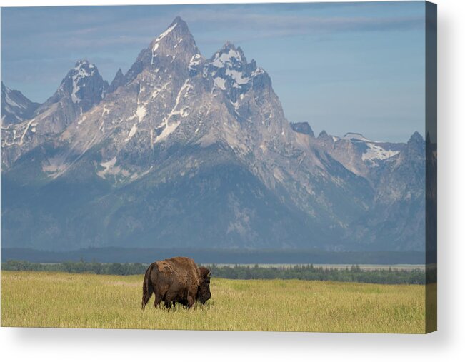 Tetons Acrylic Print featuring the photograph Iconic by Mary Hone