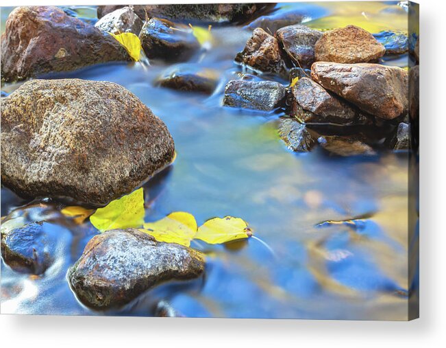 Fall Acrylic Print featuring the photograph Impresions Of Autumn by Jonathan Nguyen