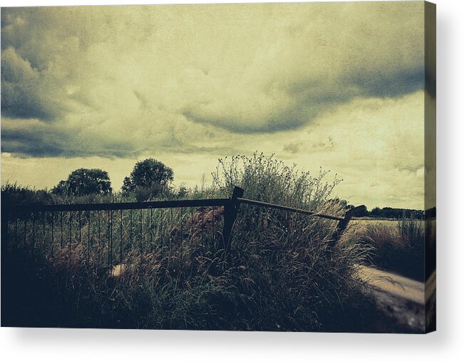 Land Acrylic Print featuring the photograph In the countryside by Yasmina Baggili