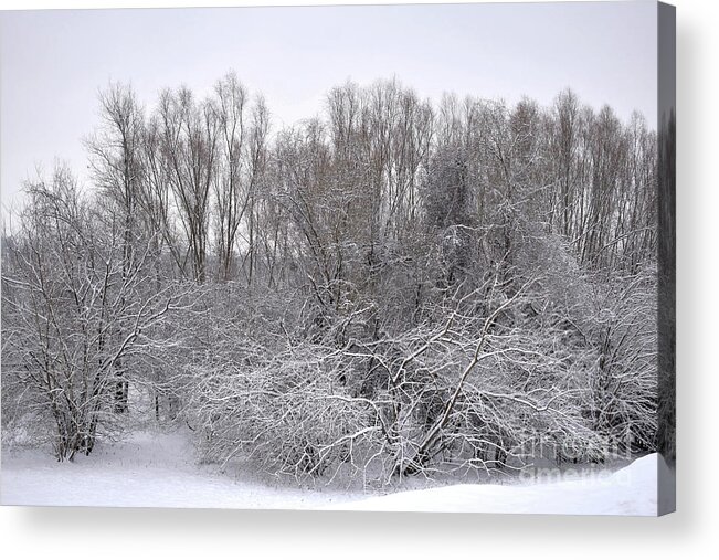 Winter Acrylic Print featuring the photograph In the depth of winter, within me there lay an invincible summer by Leonida Arte
