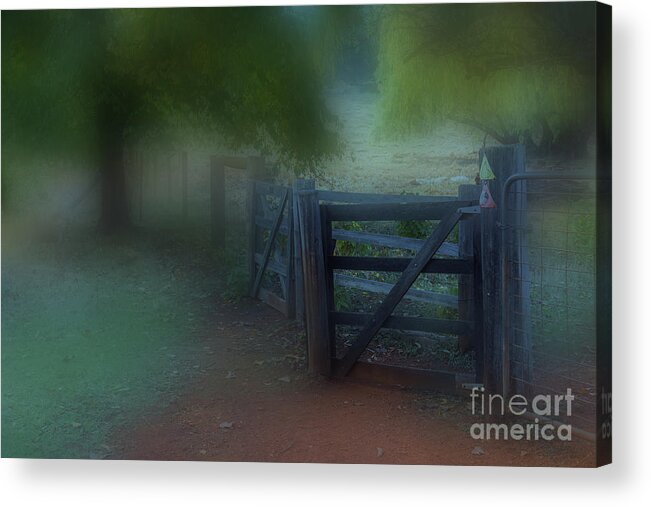 Moody Acrylic Print featuring the photograph In the Mood by Elaine Teague
