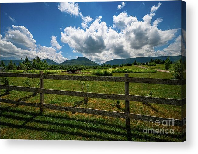 2020 Acrylic Print featuring the photograph In The Mountains by Stef Ko