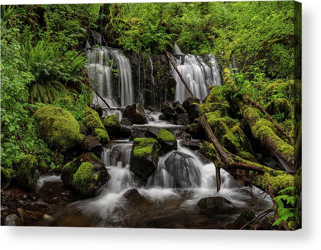 Shellburg Creek Acrylic Print featuring the photograph In the Santiam State forest by Ulrich Burkhalter