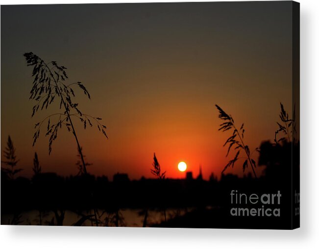 Nature Acrylic Print featuring the photograph In the Vermilion Fields of Twilight by Leonida Arte