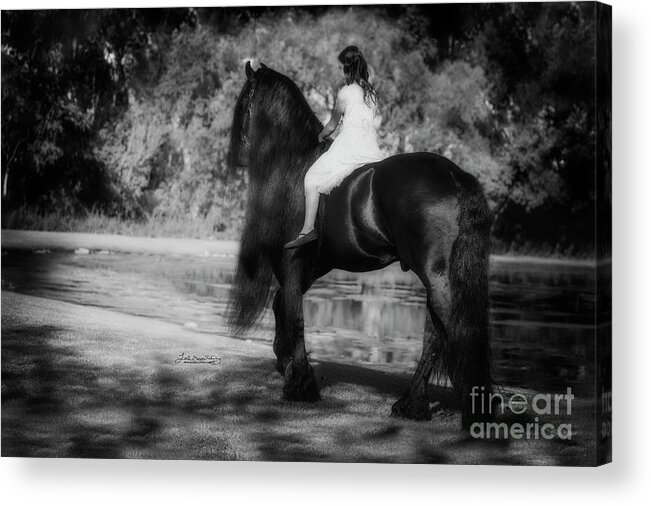 Uldrik Acrylic Print featuring the photograph Into the Light by Lori Ann Thwing