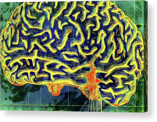 Brain Acrylic Print featuring the digital art Into The Mind by Ally White