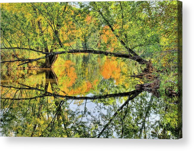 Wausau Acrylic Print featuring the photograph Isle Of Ferns Park Tree Arch by Dale Kauzlaric