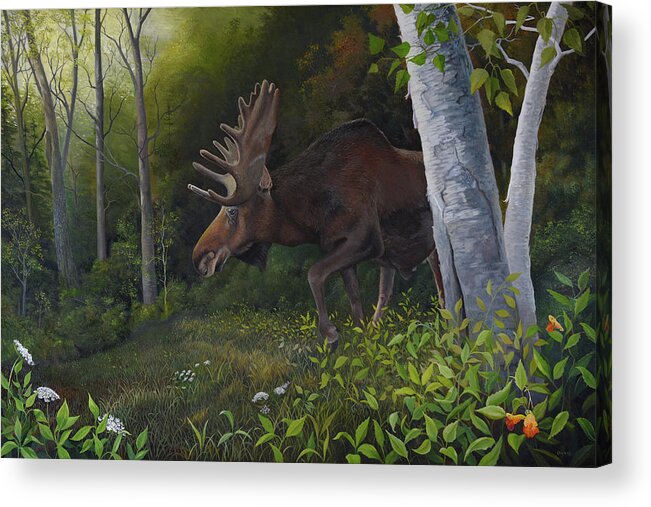 Moose Acrylic Print featuring the painting Northwoods Moose by Charles Owens