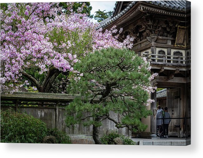 Architecture Acrylic Print featuring the photograph Japanese Cherry Blossoms by Stewart Helberg