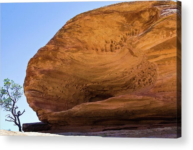 Canyonlands Acrylic Print featuring the photograph Jonah and the Whale by Phyllis McDaniel