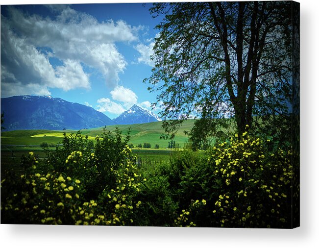 Mountain Acrylic Print featuring the photograph Joseph Meadow by Loyd Towe Photography