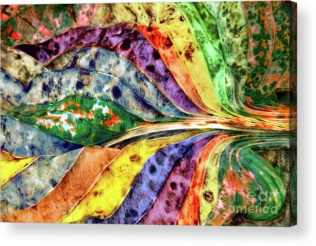 Abstracts Acrylic Print featuring the photograph Joseph's Coat by Marilyn Cornwell