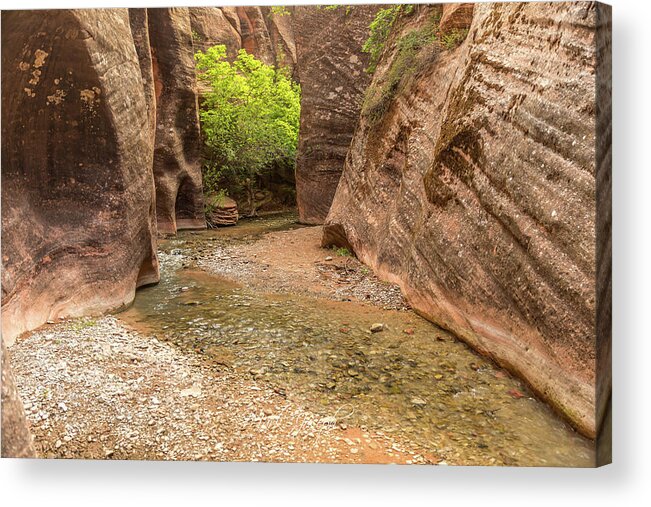 Landscape Acrylic Print featuring the photograph Kanarra Canyon3 by Mark Joseph