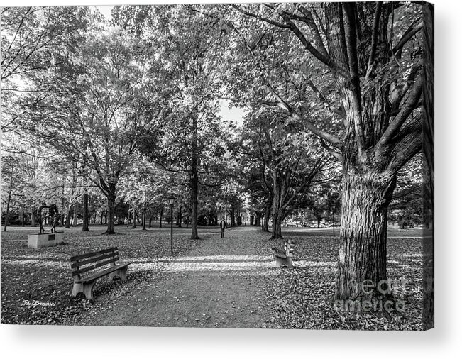 Kenyon College Acrylic Print featuring the photograph Kenyon College Middle Path by University Icons