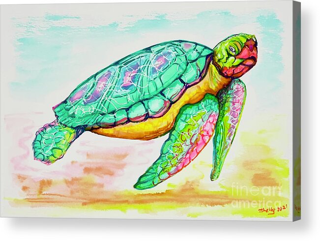 Key West Acrylic Print featuring the painting Key West Turtle 2 2021 by Shelly Tschupp