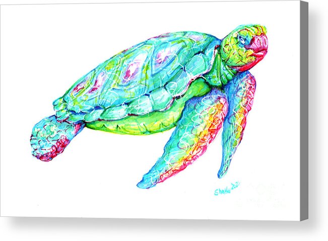 Turtle Acrylic Print featuring the painting Key West Turtle 2 Study by Shelly Tschupp