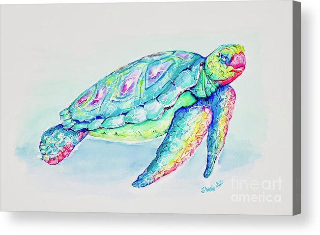 Turtle Acrylic Print featuring the painting Key West Turtle 2021 by Shelly Tschupp