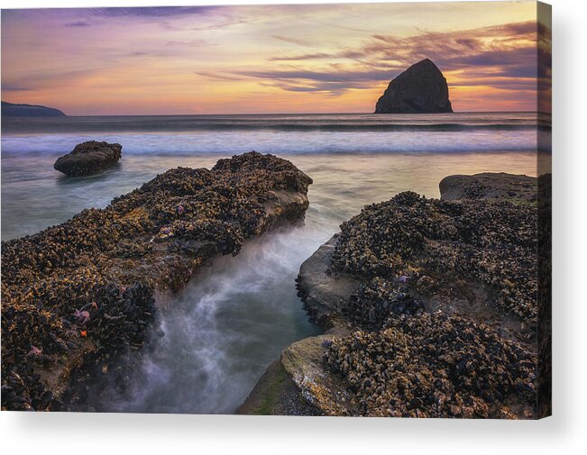 Oregon Acrylic Print featuring the photograph Kiwanda Froth by Darren White