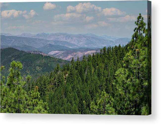 Betty Depee Acrylic Print featuring the photograph Knopki Viewpoint by Betty Depee