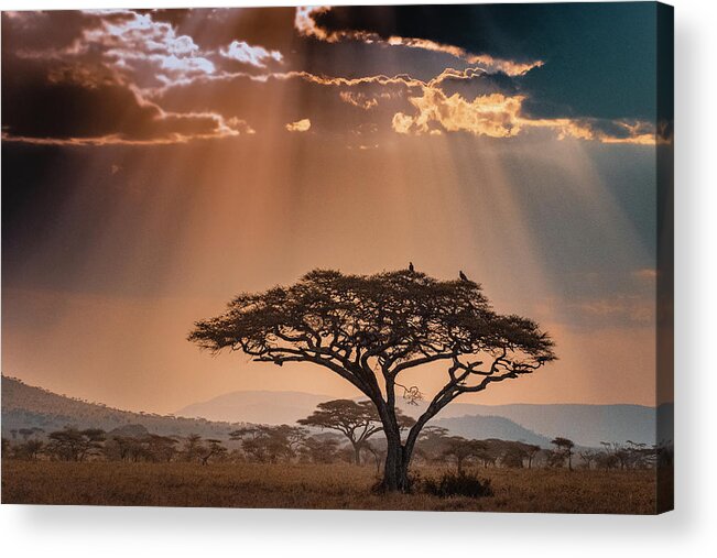 Africa Acrylic Print featuring the photograph KubuKubu Sunset 2143 by Janis Knight