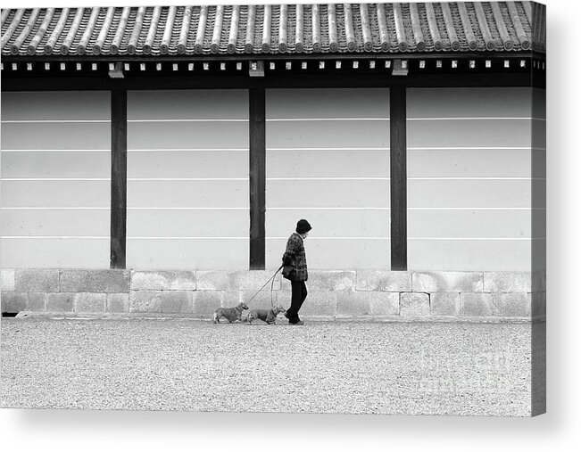 Dog Acrylic Print featuring the photograph Kyoto Walkies by Dean Harte