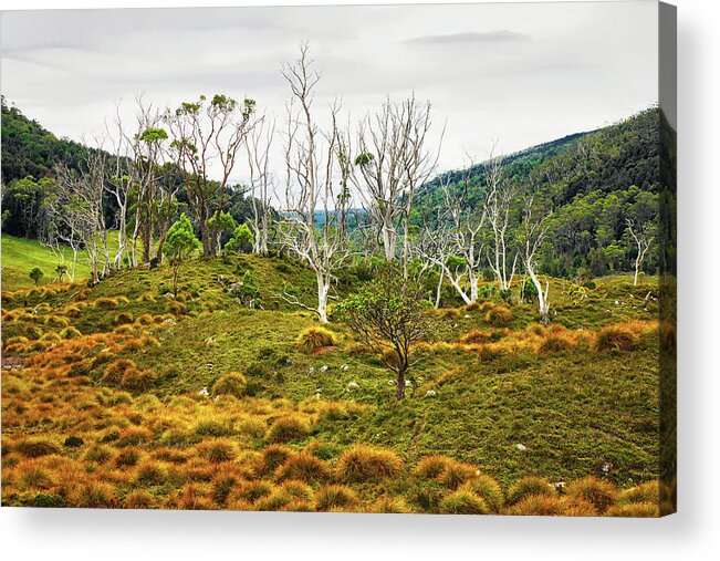 Beautiful And Bold Acrylic Print featuring the photograph Lake Lilla Track 1 by Lexa Harpell