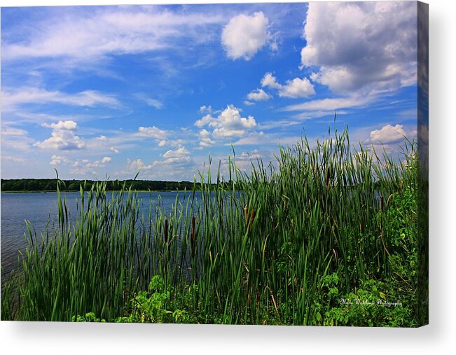 Landscape Acrylic Print featuring the photograph Land, Water and Sky by Mary Walchuck