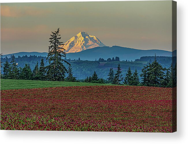 Willamette Valley Acrylic Print featuring the photograph Last light by Ulrich Burkhalter