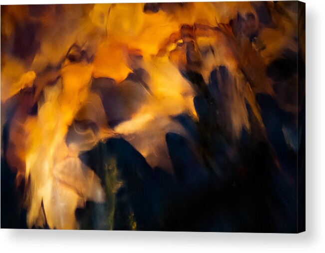 Abstract Acrylic Print featuring the photograph Leaf Story by Linda Bonaccorsi