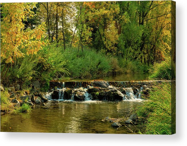 Creeks Acrylic Print featuring the photograph Left Hand Creek Longmont Autumn View by James BO Insogna