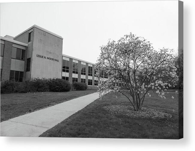 Western Michigan University Acrylic Print featuring the photograph Leslie H. Wood Hall at Western Michigan University in black and white by Eldon McGraw